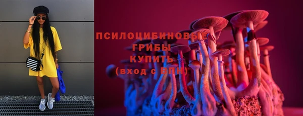 кокс Арсеньев