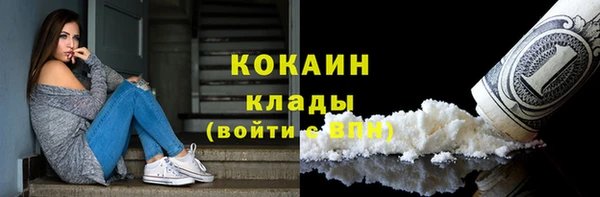 кокс Арсеньев