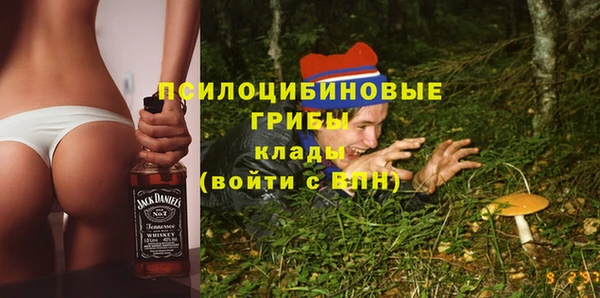 кокс Арсеньев