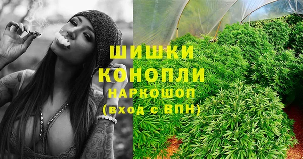 первитин Бикин
