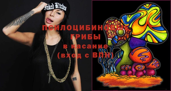 кокс Арсеньев